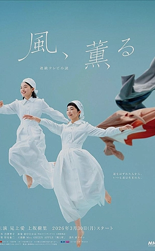 长街灯火资料封面