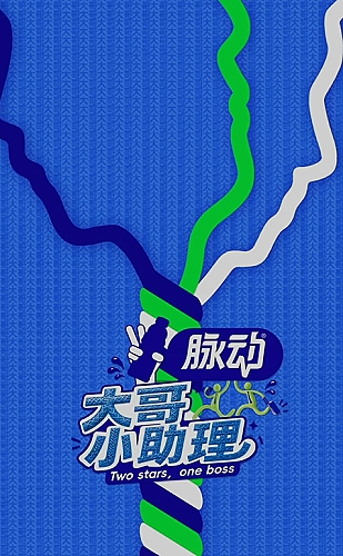 向阳的约定资料封面